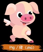 Pig